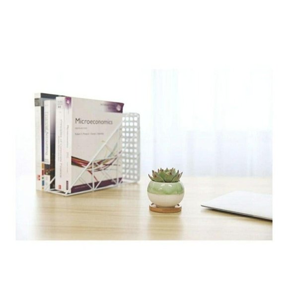 T4U Suculent Cactus Pots - Picture 3 of 4